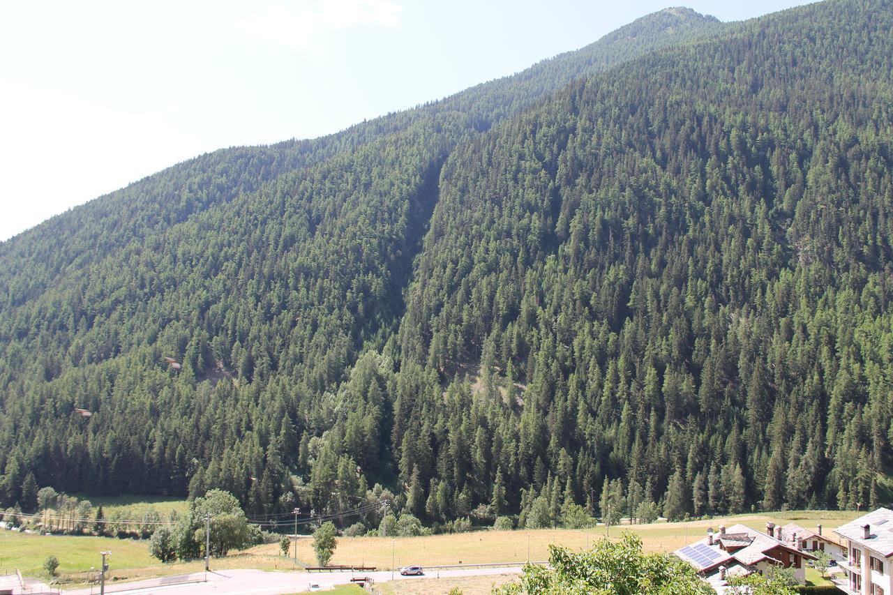 Mont Velan Chambres & Restaurant Saint-Oyen Kültér fotó